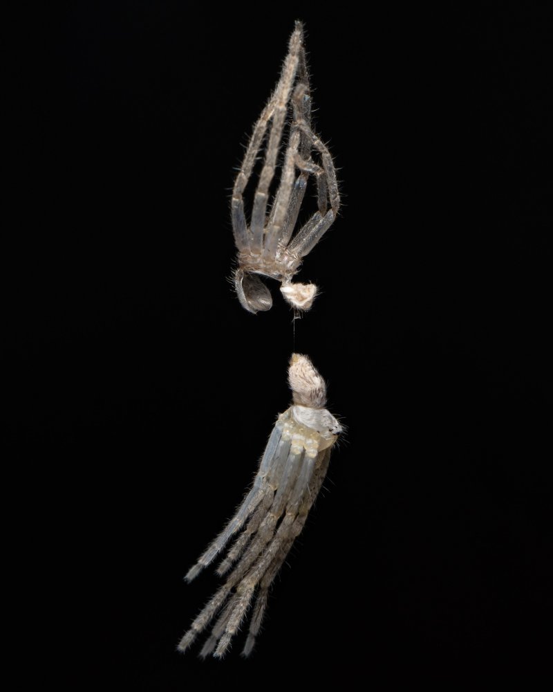 Fotografía de Eliseo