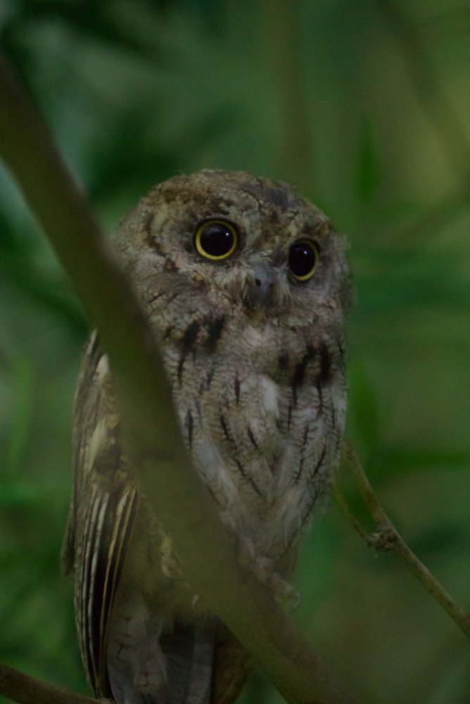 Fotografía de Eliseo