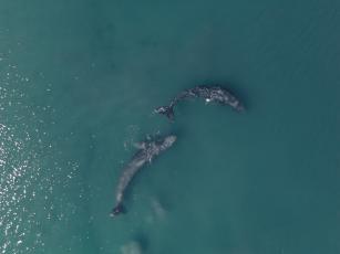 preload photo Compañía